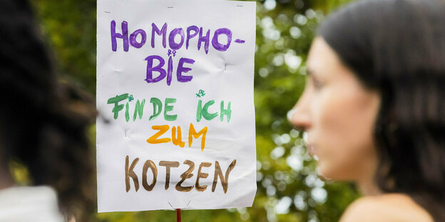 Demo-Schild mit Aufschrift: Homophobie finde ich zum Kotzen.