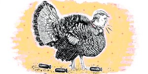 Zeichnung eines Vogels mit Trump-Kopf