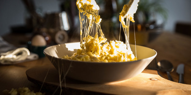 Ein Teller Käsespätzle steht auf einem Brett, mit zwei Gabeln werden Spätzle rausgenommen, der Käse zieht lange Fäden Ein Teller Käsespätzle steht auf einem Brett, mit zwei Gabeln werden Spätzle rausgenommen, der Käse zieht lange Fäden