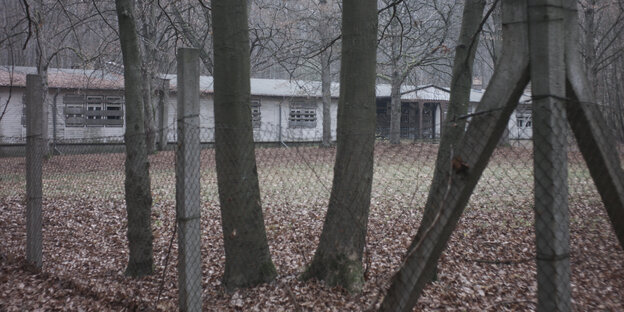 Bäume und eine KZ-Barracke mit Zaun