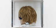 Ein Kunstwerk zeigt einen haarigen Kopf mit Sonnenbrille in einem Glaskasten