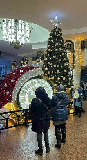 Zwei Frauen in Winterkleidung betrachten einen geschmückten Weihnachtsbaum