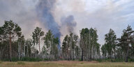 Waldbrand auf einem ehemaligen Truppenübungsplatz bei Jüterbog im Landkreis Teltow-Fläming