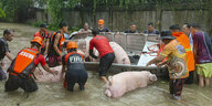 Philippinen, Laoag: Retter tragen Schweine in Booten durch die vom Taifun «Doksuri» verursachten Überschwemmungen, während sie sie in der Stadt Laoag in Sicherheit bringen