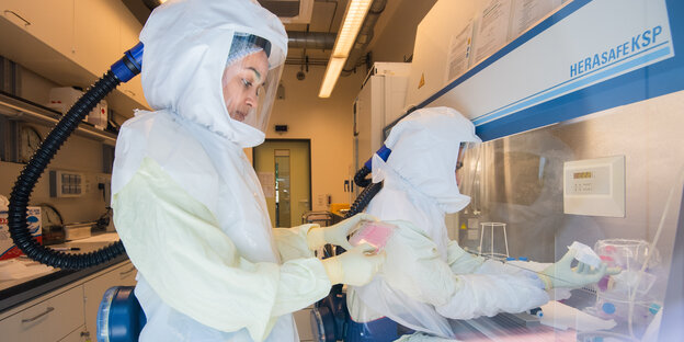 Eine Wissenschaftlerin hält eine Multiwellplatte mit vom Coronavirus infizierten Zellkulturen im Helmholtz-Zentrum für Infektionsforschung.
