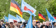 AfD- und Deutschlandfahnen auf einer Kundgebung