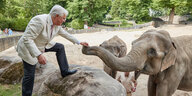 Zoodirektor Dirk Albrecht fasst einem Elefanten an die Rüsselspitze