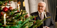 Bundespräsident Steinmeier steht neben einem Weihnachtsbaum