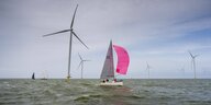 Lattboden- und scharfkantige Yachten beim Windmill Cup im Ijsselmeers. Der Segelwettbewerb geht direkt durch den Windpark Fryslan, der mit 89 Windturbinen der größte Windpark in einer Binnenwasserstraße der Welt ist und genug Strom produziert, um alle fri