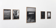 An einer Ausstellungswand hängen fünf Schwarz-Weiß-Fotografien in Rahmen. Die Bilder zeigen je hohes Gras, zwei gestapelte Plastikstuhl neben einem abgedeckten Auto, einen See mit glänzender Wasseroberfläche, Ähren von wildem Reis und die mit Wasserflecke