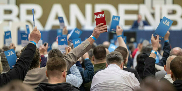 Teilnehmer des Landesparteitags AfD Brandenburg halten bei einer Abstimmung ihre Stimmkarten hoch.