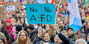 Protest gegen den Landesparteitag der AfD in Südheide - ein blaues Schild ragt aus der Menge: No No AfD