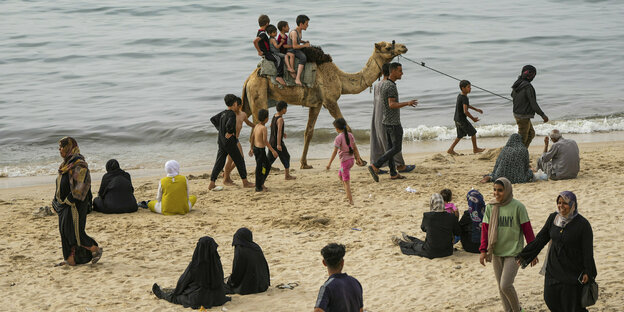 Ein Kamel am Strand von Gaza