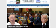 Ein Screenshort der Startseite von thoibao.de