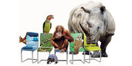 Fünf Stühle stehen in einer Reihe, zwei sind mit den Abbildungen der Arktis und dem Amazonas überzogen,ein Eichhörnchen linst hinter dem rechten Stuhl hervor, ein Papagei thront auf dem nächsten Stuhl unter dem eine Schildkröte sitzt, ein Orang Utan und e