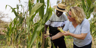 Svenja Schulze steht mit einem Mann an einer Maispflanze