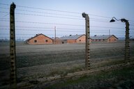 Gedenken an Auschwitz-Befreiung: „Die Verantwortung Deutschlands wird niemals enden.“