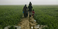 Eine Familie mit Kindern läuft ein Feld entlang