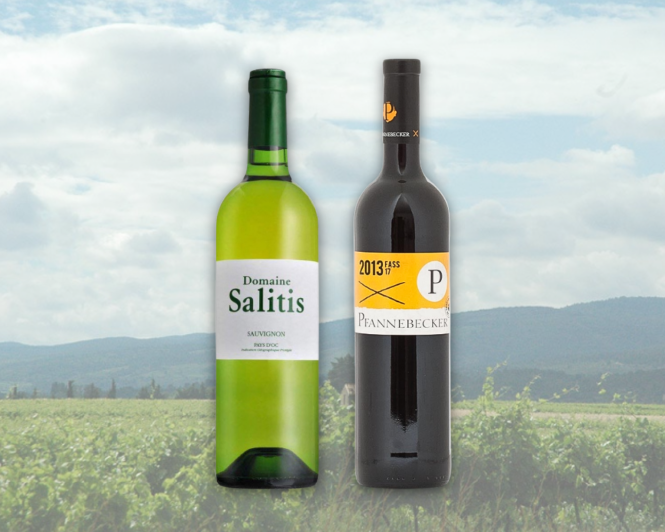 Eine Weißwein-Falsche und eine Rotweinflasche vor dem Foto einer Weinlandschaft.