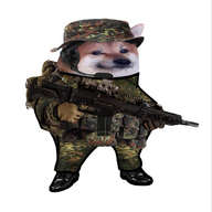 Schytomyr Shiba 