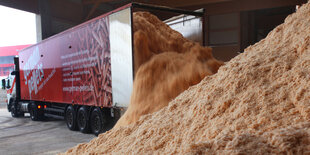 Aus dem offenen Heck eines Lkw ergießen sich Holzspäne auf einen noch viel größeren Stapel Holzspäne im Vordergrund.