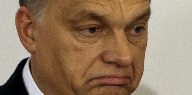 Viktor Orban im Porträt