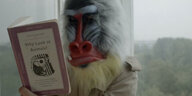 Ein Mensch mit einer Affenmaske. Er liest ein Buch mit dem Titel "Why look at animals?"