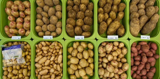 Kartoffeln in einem Supermarkt