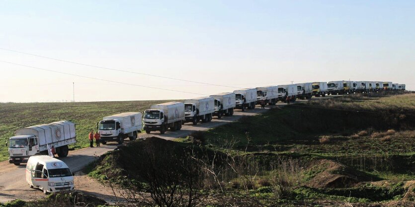 LKW stehen in einem Feld in Reihe