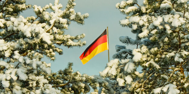 Deutschlandflagge, eingerahmt von verschneitem Nadelgehölz