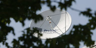 Eine Satellitenschüssel, im Vordergrund Blätter eines Baumes