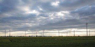 Landschaft in der Uckermark