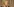 Eine Frau, Maria Scharapowa, mit langen blonden Haaren steht vor einem Mikrofon