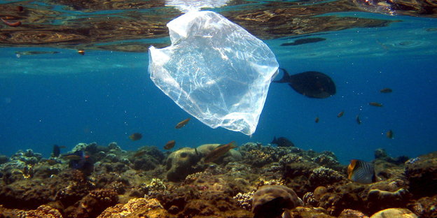 eine Plastiktüte treibt über einem Korallenriff