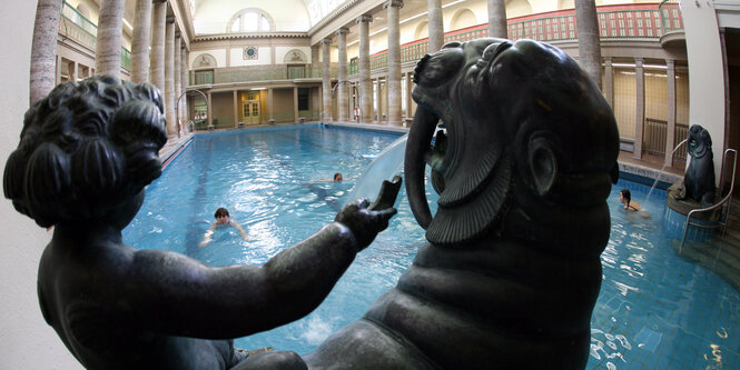 Ein Seelöwe aus Stein vor dem Becken