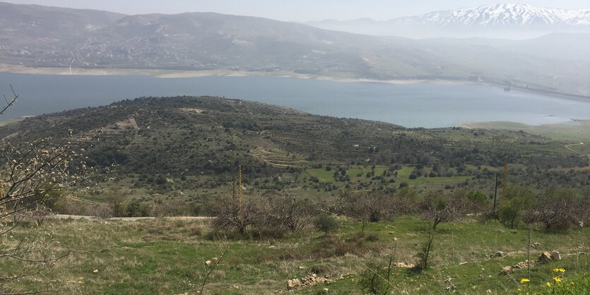 Gelbe Blumen im Vordergrund, dahinter grüne Hügel, ein See und ein schneebedeckter Berg.