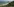 Wald, ein Strand, das Meer