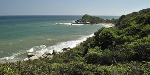 Wald, ein Strand, das Meer