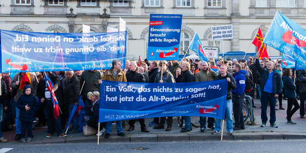 AfD-Demo in Hamburg
