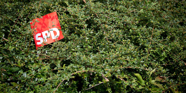 eine rote Flagge mit der Aufschrift SPD hängt in einem Busch