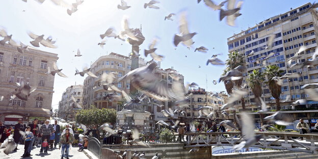 Fliegende Tauben am Al-Marjeh Square in Damaskus