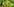 grüne Pflanzen mit gelben Blüten