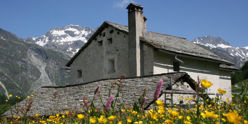 Haus mit Giebeldach vor Bergkulisse mit blühenden Blumen davor