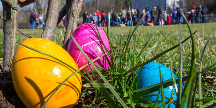 Bunte Eier auf der Wiese