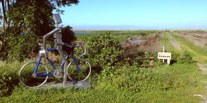 Vor einer Marschlandschaft steht eine Metallskulptur, die einen Roboter auf einem Rennrad darstellt
