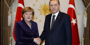 Angela Merkel steht neben Erdogan und gibt ihm die Hand