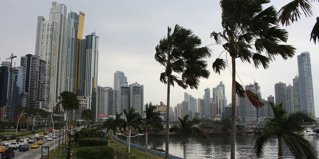 Palmen stehen an einer Straße vor Hochhäusern