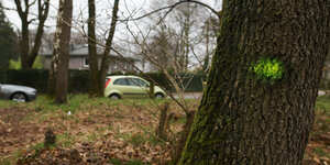 An einem Baum ist eine neongrüne Markierung zu sehen. Im Hintergrund Polizeiautos