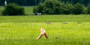 Füße gucken aus einer Wiese heraus