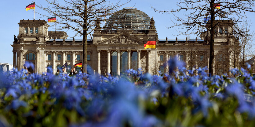 Der Reichtags und viele Blumen davor - zur Frage der Grünen in der Bundespolitik